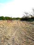 Frio Canyon Real Estate - Martin Martinez