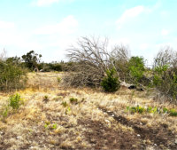 Texas Hill Country and Frio Canyon Properties with Live Water