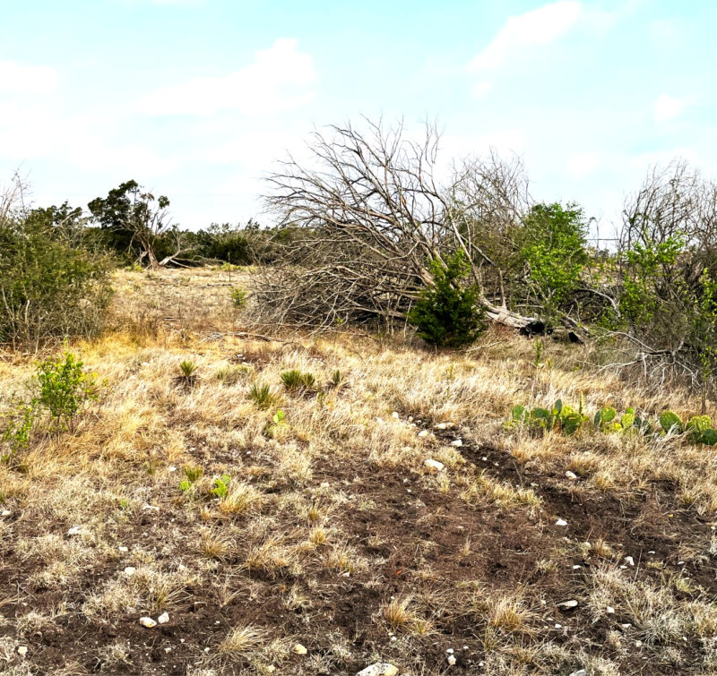 Martin Martinez - Frio Canyon Real Estate