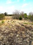 Frio Canyon Real Estate - Martin Martinez