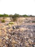 Frio Canyon Real Estate - Martin Martinez