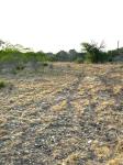 Frio Canyon Real Estate - Martin Martinez