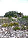 Frio Canyon Real Estate - Martin Martinez