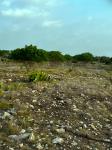 Frio Canyon Real Estate - Martin Martinez