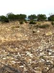 Frio Canyon Real Estate - Martin Martinez