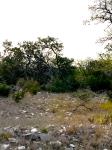Frio Canyon Real Estate - Martin Martinez