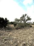 Frio Canyon Real Estate - Martin Martinez
