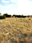 Frio Canyon Real Estate - Martin Martinez
