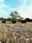 Frio Canyon Real Estate - Martin Martinez