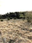 Frio Canyon Real Estate - Martin Martinez