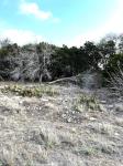 Frio Canyon Real Estate - Martin Martinez