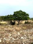 Frio Canyon Real Estate - Martin Martinez
