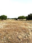 Frio Canyon Real Estate - Martin Martinez