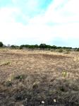 Frio Canyon Real Estate - Martin Martinez