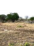 Frio Canyon Real Estate - Martin Martinez