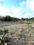 Frio Canyon Real Estate - Martin Martinez