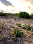 Frio Canyon Real Estate - Martin Martinez