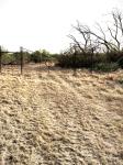 Frio Canyon Real Estate - Martin Martinez