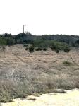Frio Canyon Real Estate - Martin Martinez