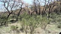 Frio Canyon Real Estate - Martin Martinez
