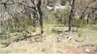 Frio Canyon Real Estate - Martin Martinez