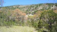 Frio Canyon Real Estate - Martin Martinez