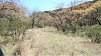 Frio Canyon Real Estate - Martin Martinez
