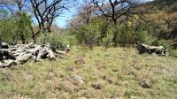 Frio Canyon Real Estate - Martin Martinez