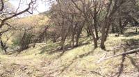 Frio Canyon Real Estate - Martin Martinez