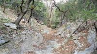 Frio Canyon Real Estate - Martin Martinez