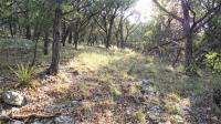 Frio Canyon Real Estate - Martin Martinez