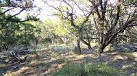 Frio Canyon Real Estate - Martin Martinez