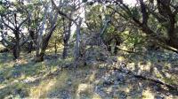 Frio Canyon Real Estate - Martin Martinez
