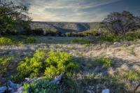 Frio Canyon Real Estate - Martin Martinez
