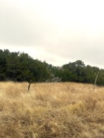 Frio Canyon Real Estate - Martin Martinez