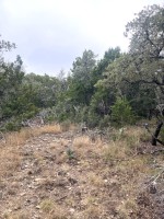 Frio Canyon Real Estate - Martin Martinez