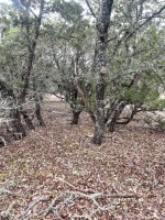 Frio Canyon Real Estate - Martin Martinez