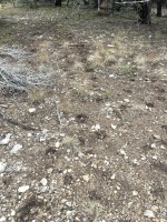 Frio Canyon Real Estate - Martin Martinez