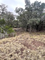 Frio Canyon Real Estate - Martin Martinez