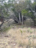 Frio Canyon Real Estate - Martin Martinez