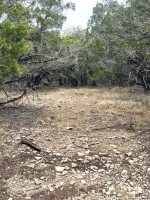 Frio Canyon Real Estate - Martin Martinez