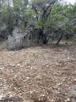 Frio Canyon Real Estate - Martin Martinez