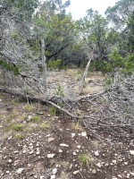 Frio Canyon Real Estate - Martin Martinez