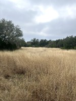 Frio Canyon Real Estate - Martin Martinez