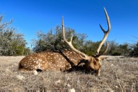 Frio Canyon Real Estate - Martin Martinez