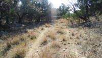 Frio Canyon Real Estate - Martin Martinez