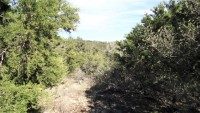 Frio Canyon Real Estate - Martin Martinez