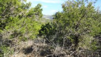 Frio Canyon Real Estate - Martin Martinez