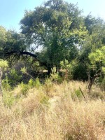 Frio Canyon Real Estate - Martin Martinez