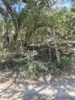 Frio Canyon Real Estate - Martin Martinez